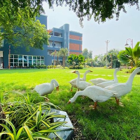 Krishna Riverside Resort Vasad Kültér fotó
