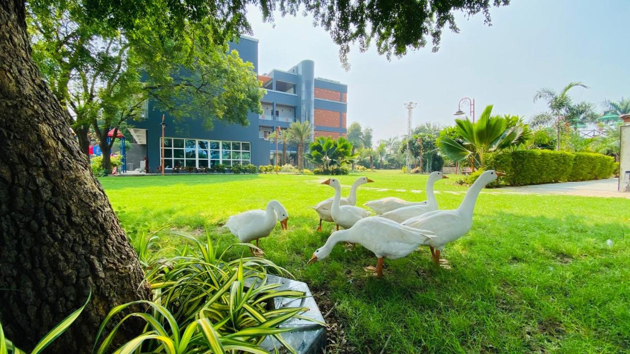 Krishna Riverside Resort Vasad Kültér fotó
